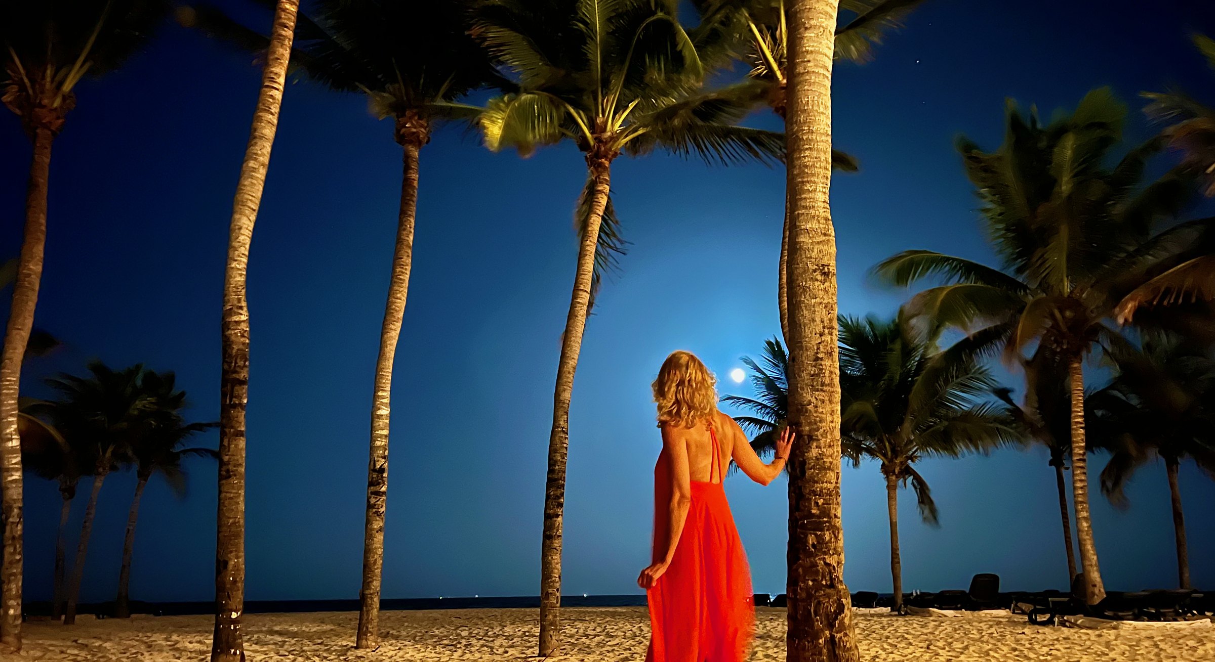 Michelle Tucker on a moonlit beach at night, among tall palm trees